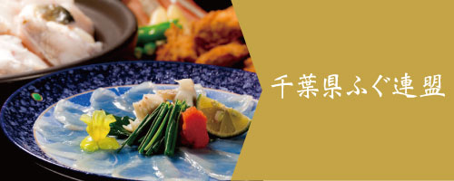 外国人雇用アドバイザーに就任しました